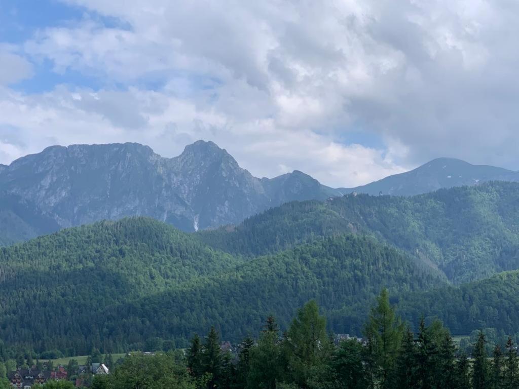 Apartament Butorowy Wierch Koscielisko Luaran gambar
